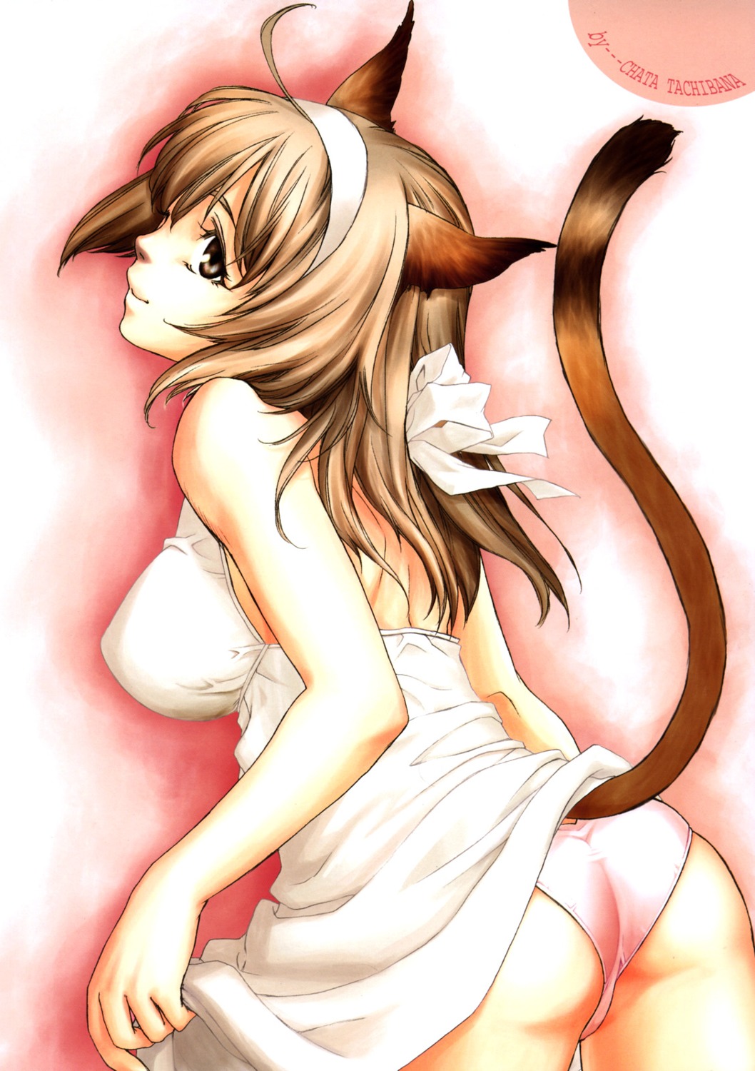 animal_ears, nekomimi, pantsu, tachibana_chata