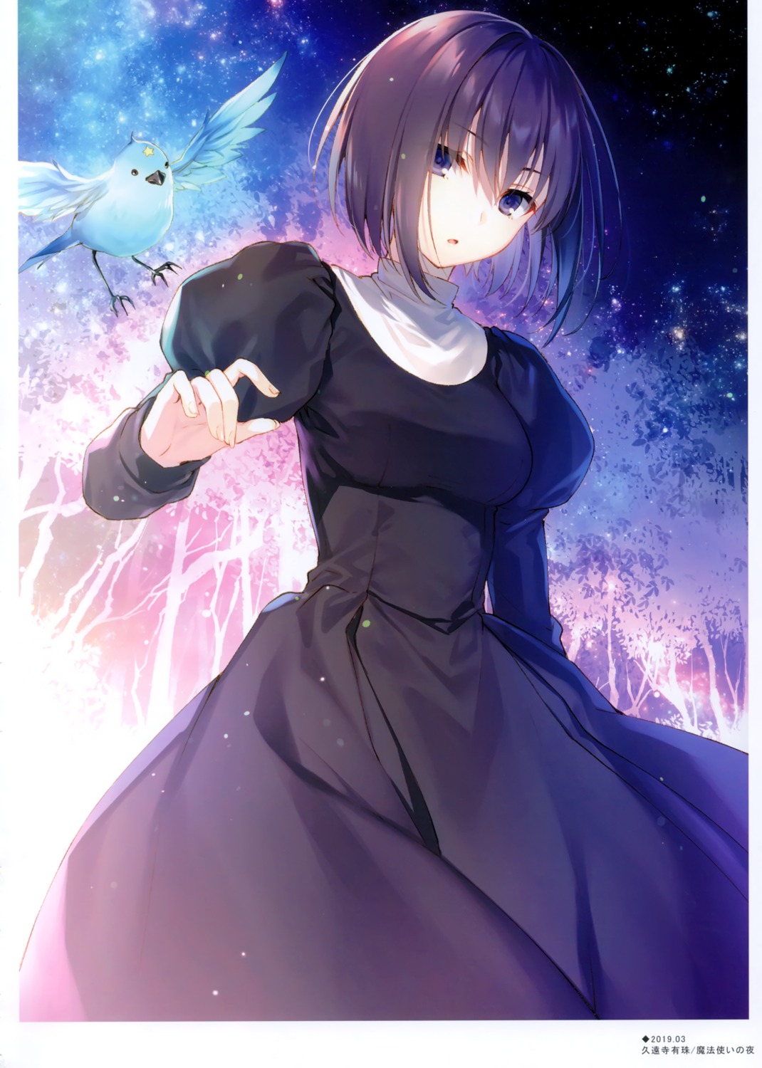 alicesyndrome*, dress, kuonji_alice, mahou_tsukai_no_yoru, toosaka_asagi