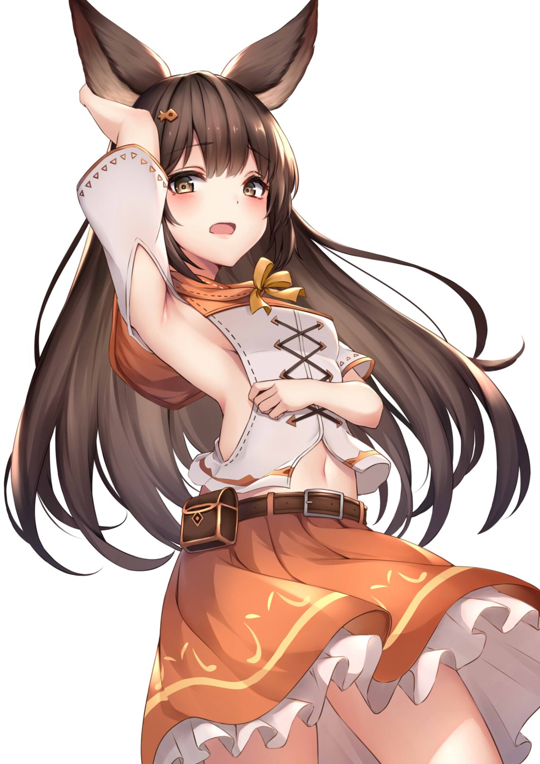 animal_ears, aster_(granblue_fantasy), granblue_fantasy, skirt_lift, ym_(distance819)