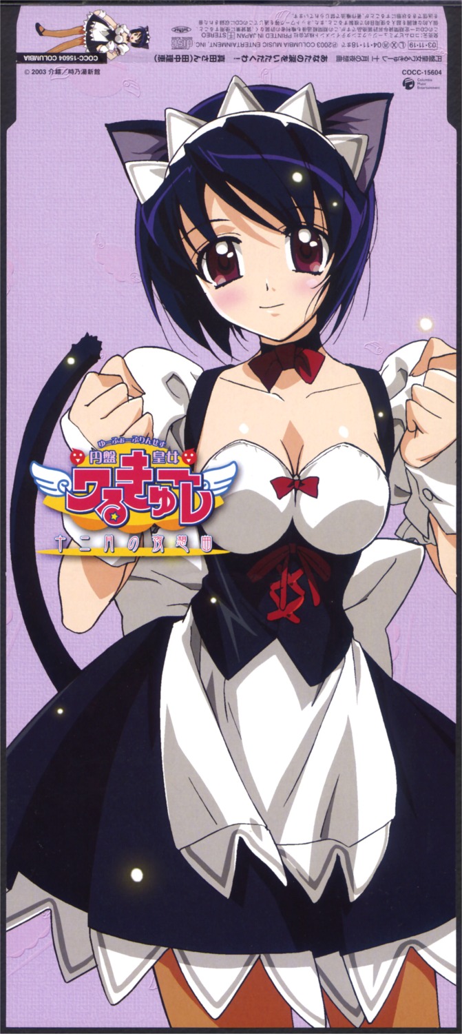 animal_ears, cleavage, disc_cover, fujii_maki, maid, nekomimi, pantyhose, sanada, tail, ufo_princess_valkyrie