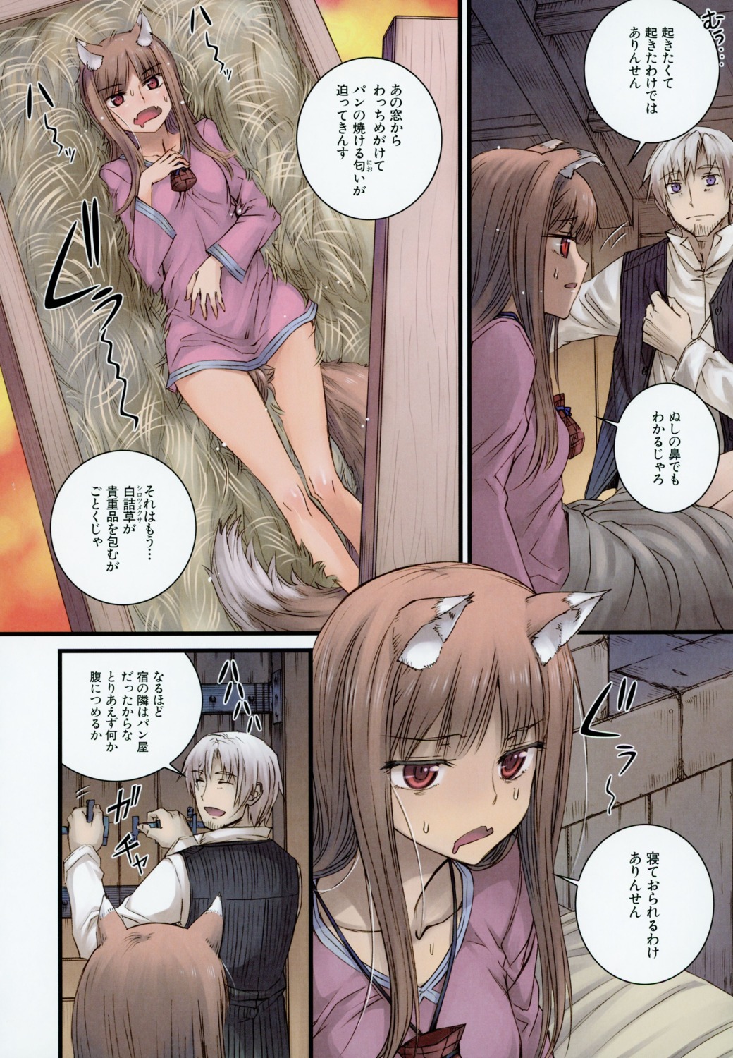 animal_ears, koume_keito, spice_and_wolf, tail