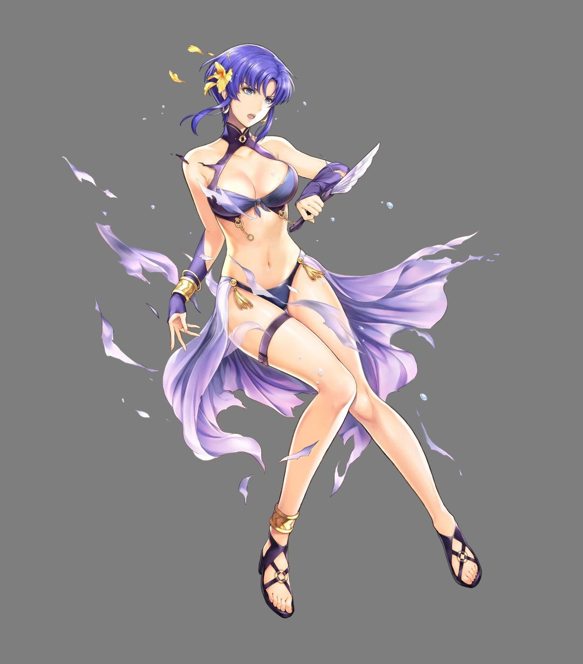 bikini, cleavage, fire_emblem, fire_emblem:_rekka_no_ken, fire_emblem_heroes, garter, nintendo, see_through, swimsuits, torn_clothes, transparent_png, ursula_(fire_emblem), weapon, yamada_koutarou