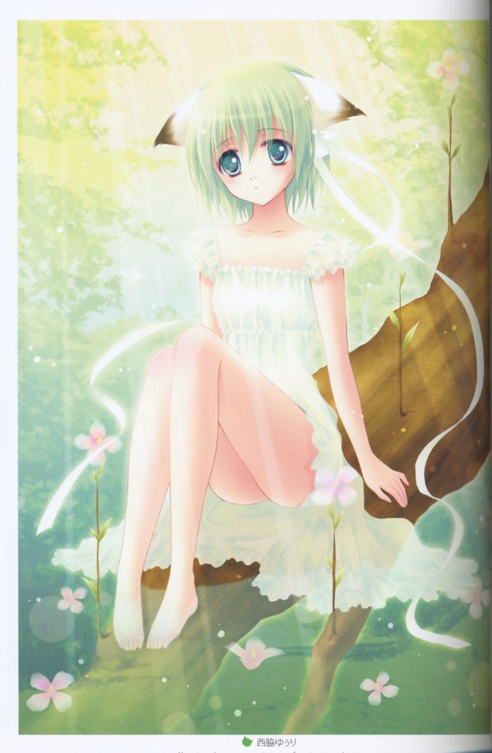 animal_ears, binding_discoloration, dress, greenwood, midori, nekomimi, nishiwaki_yuuri