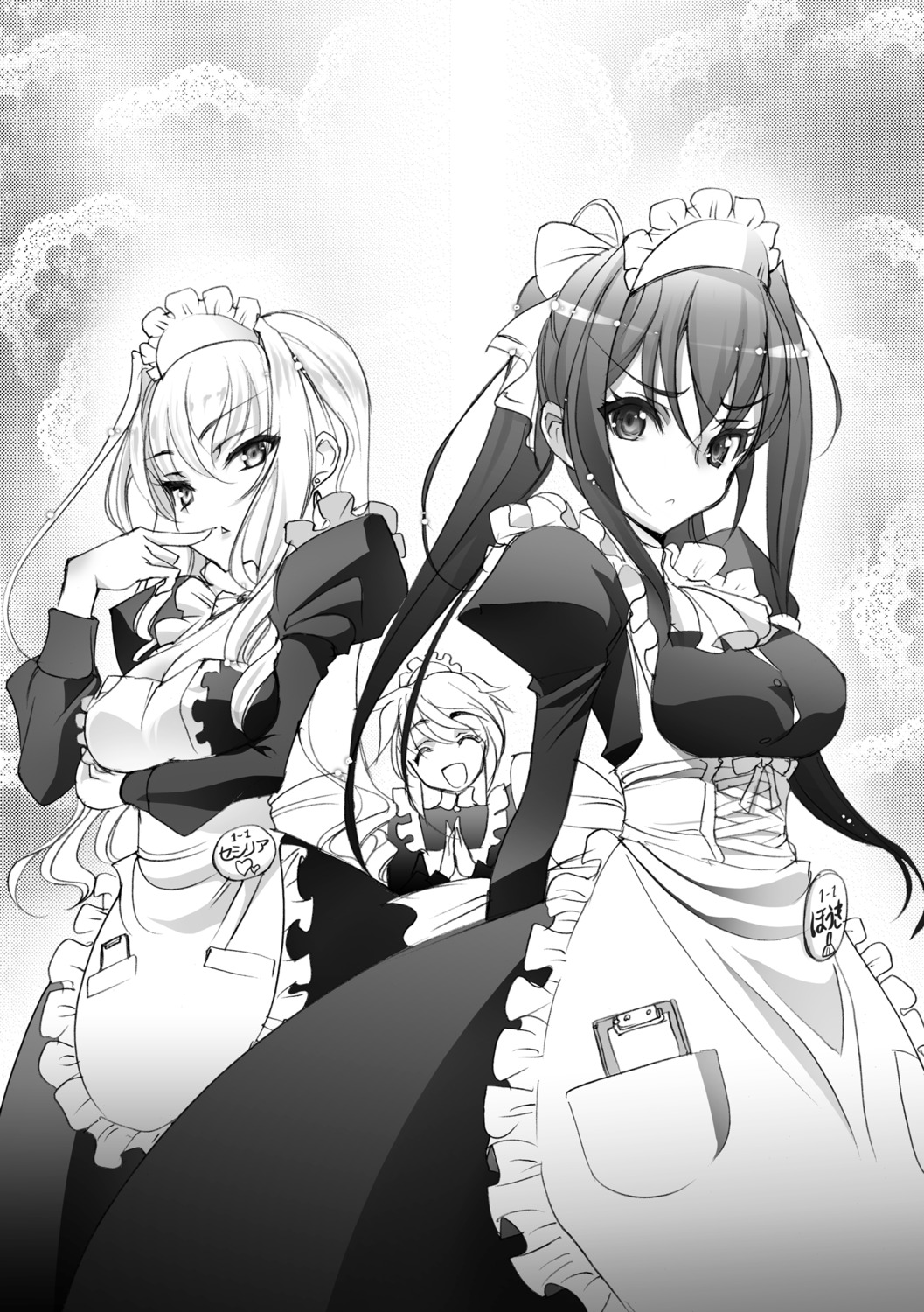 choco, infinite_stratos