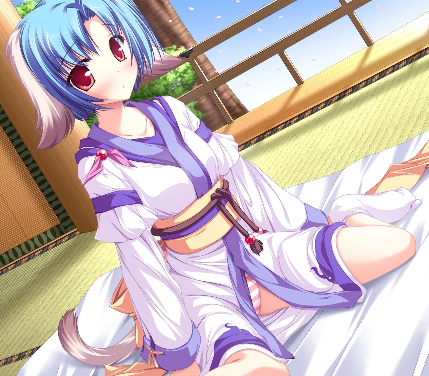 animal_ears, game_cg, haruhi_sarasa, inakoi, pantsu, shimapan, tenmaso