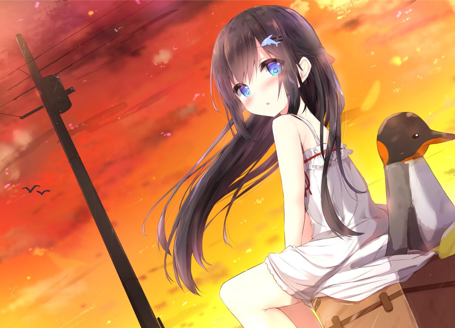 dress, fairy_eye, penguin, shirakawa_yumea, summer_dress
