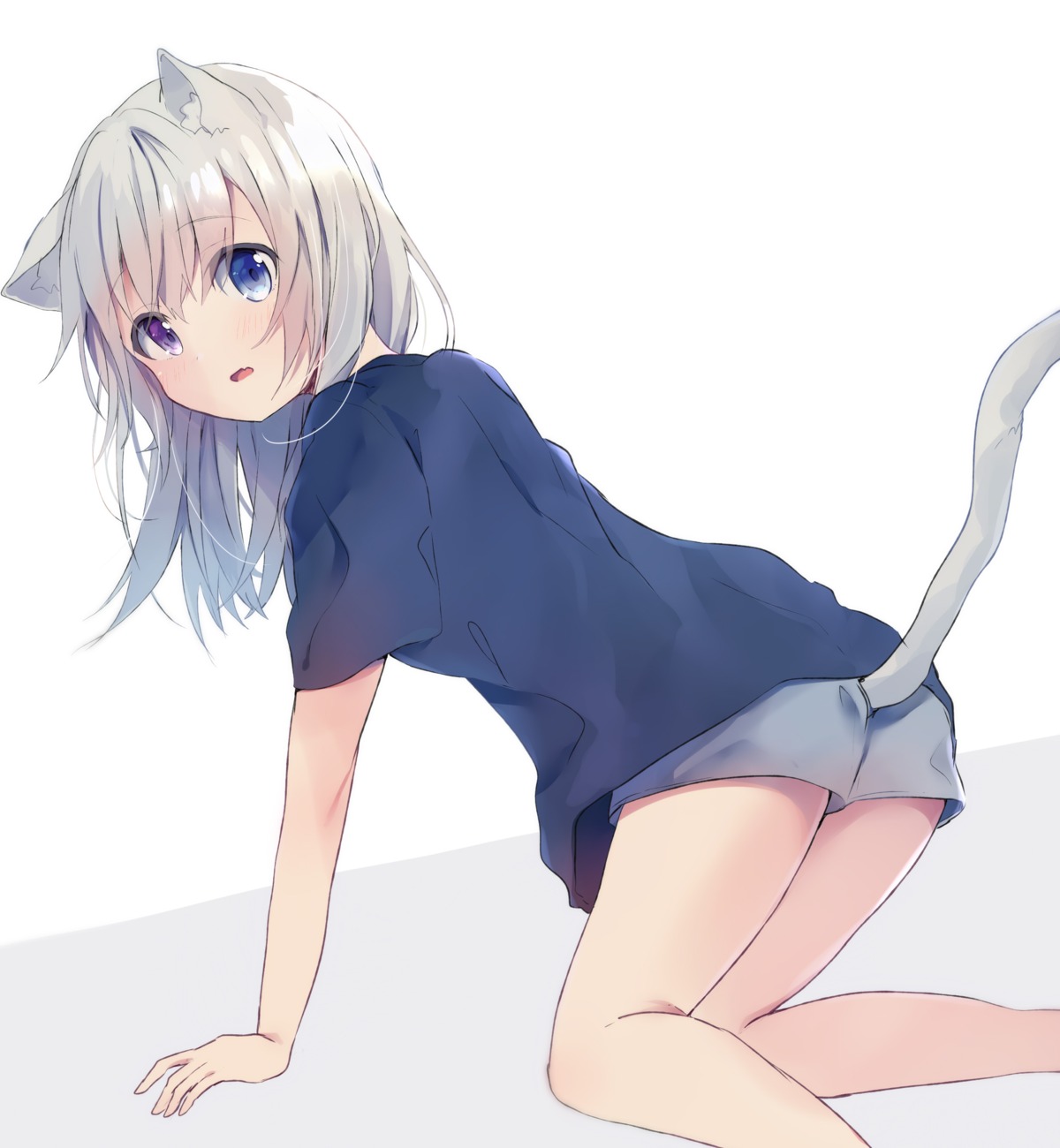 animal_ears, asanagi_kurumi_(panda-doufu), heterochromia, nekomimi, tail