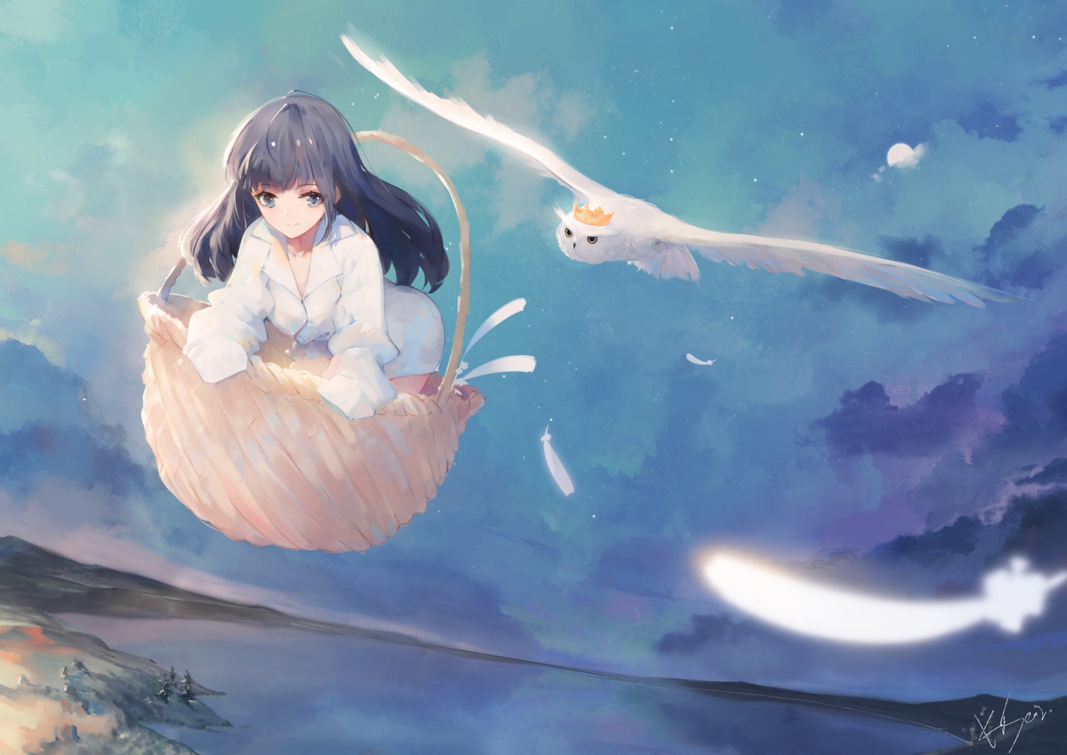 dress_shirt, kisei2, see_through