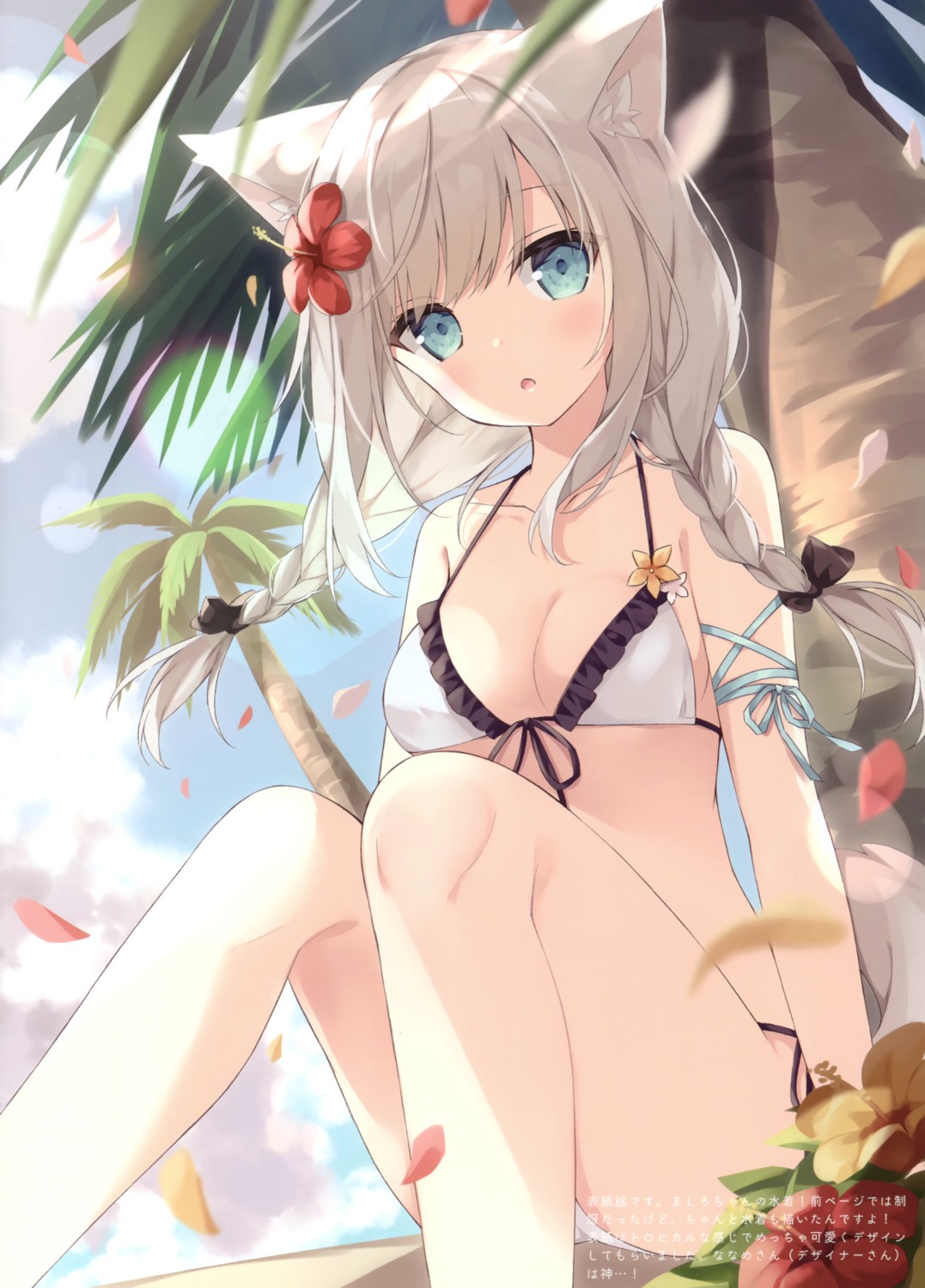 animal_ears, bikini, hoshi, inumimi, mashiro_(hoshi), swimsuits, tail, usagigo