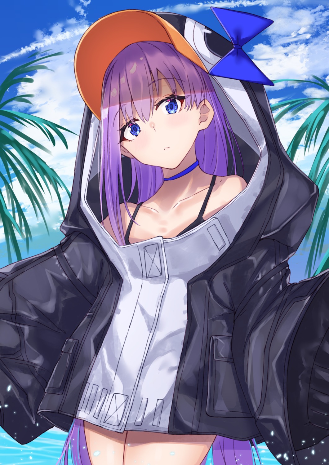 fate/grand_order, meltryllis, penguin, tapioka_(oekakitapioka)