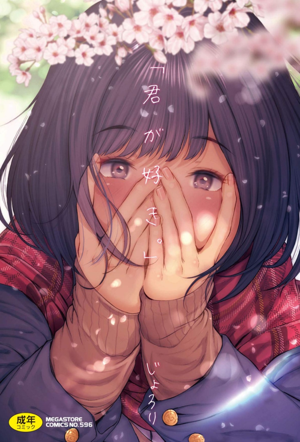 jorori, seifuku, sweater