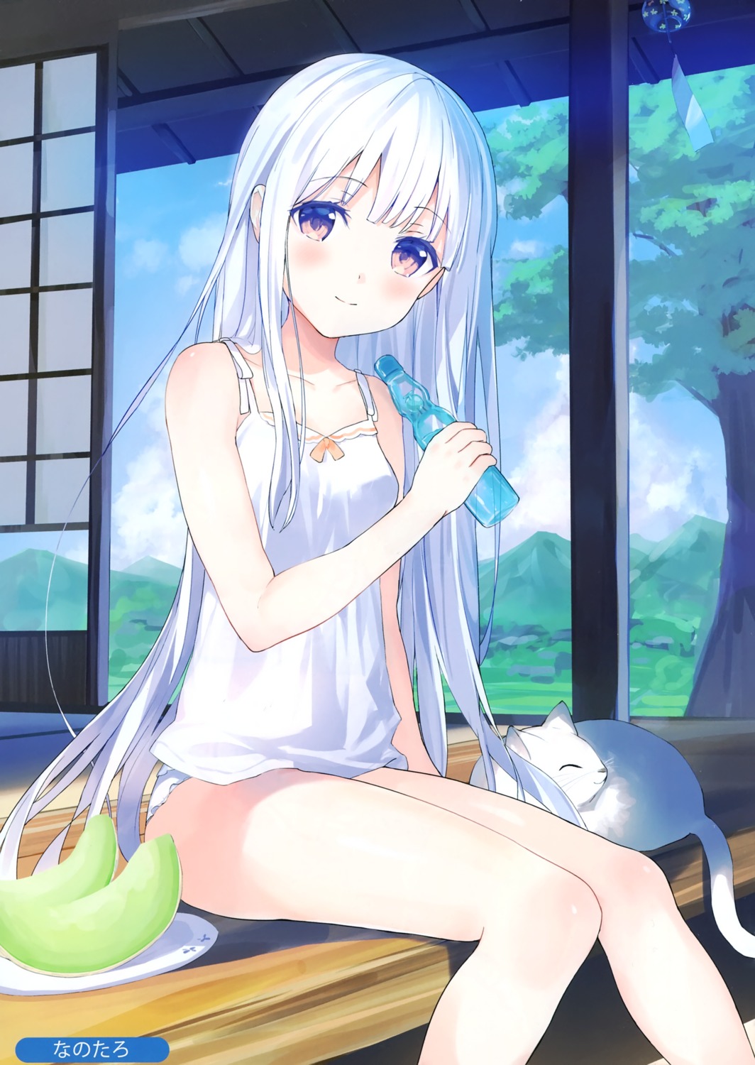 melonbooks, nanotaro, neko, pantsu