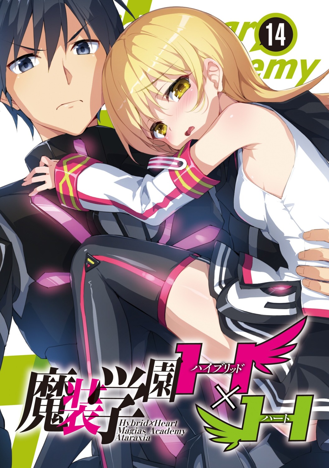 hisasi, masou_gakuen_hxh