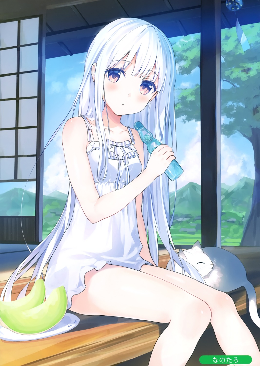dress, nanotaro, neko, summer_dress