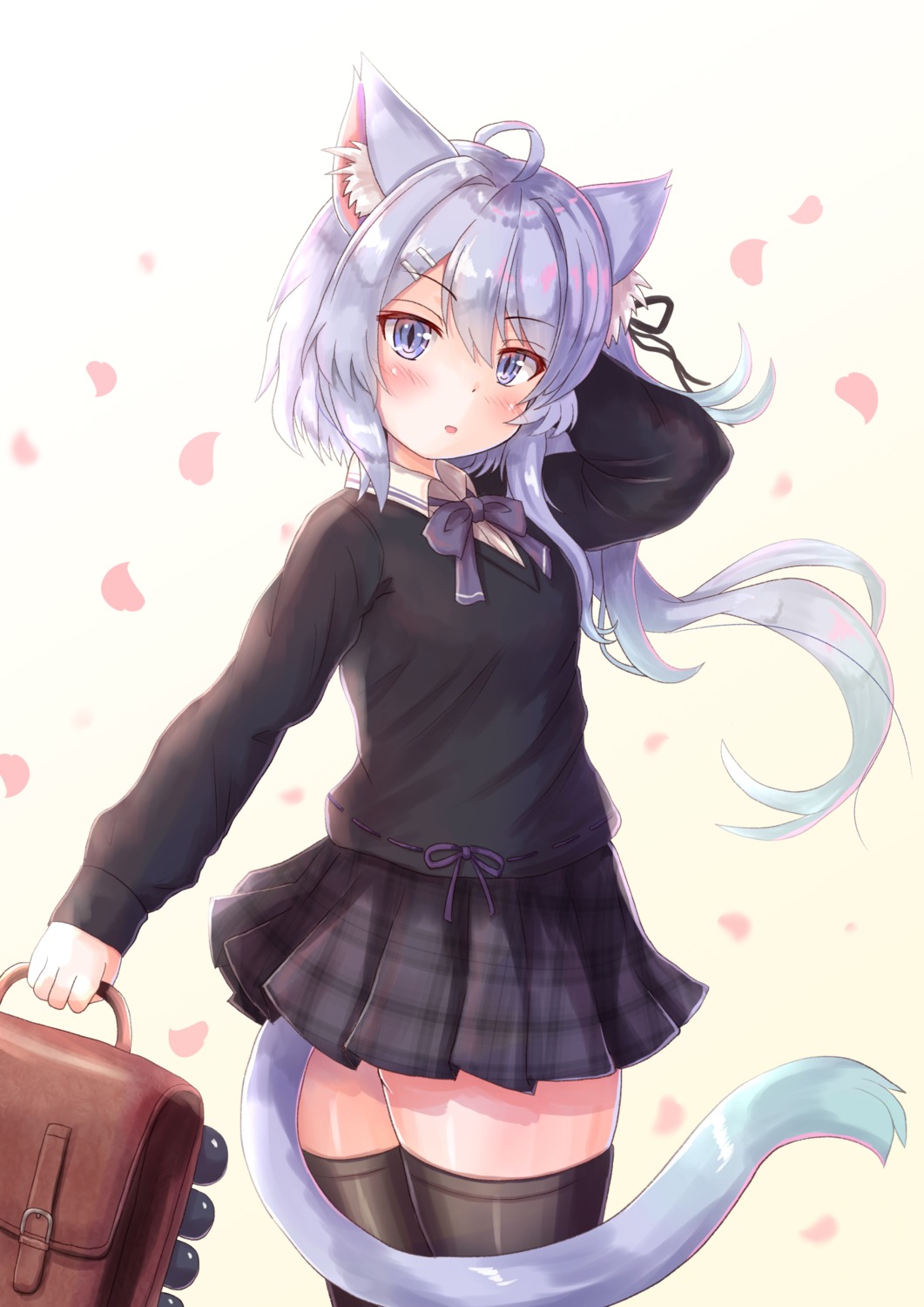 animal_ears, asashio_(azur_lane), azur_lane, cocoasabure, nekomimi, seifuku, sweater, tail