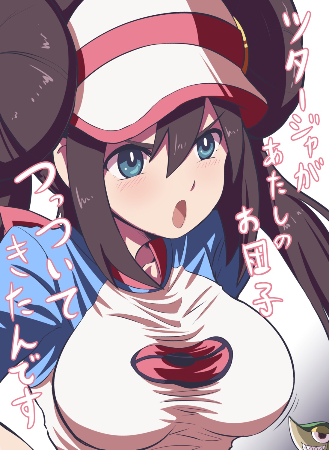 fujitaka_nasu, mei_(pokemon), pokemon, pokemon_b2w2