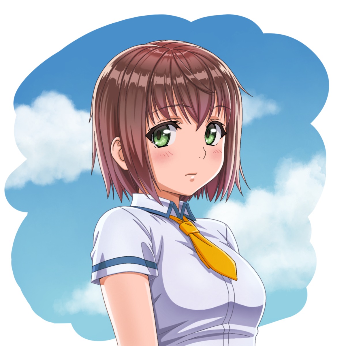 danreizer, seifuku