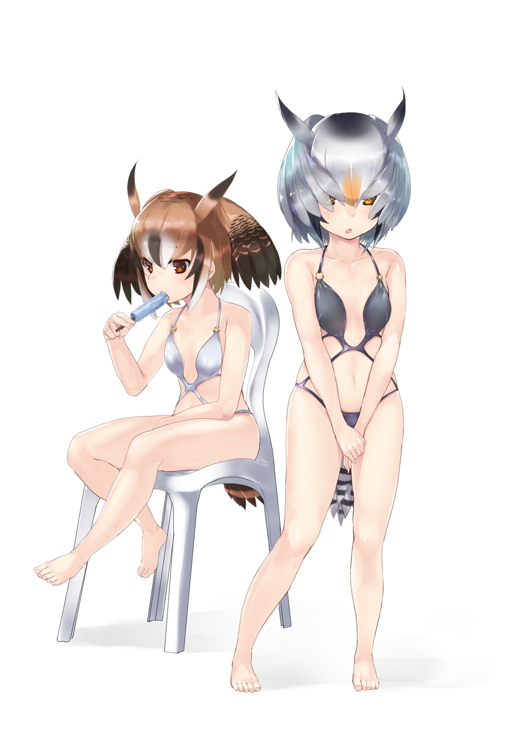cleavage, eurasian_eagle_owl, kemono_friends, northern_white-faced_owl, swimsuits, tadano_magu, tail, wings