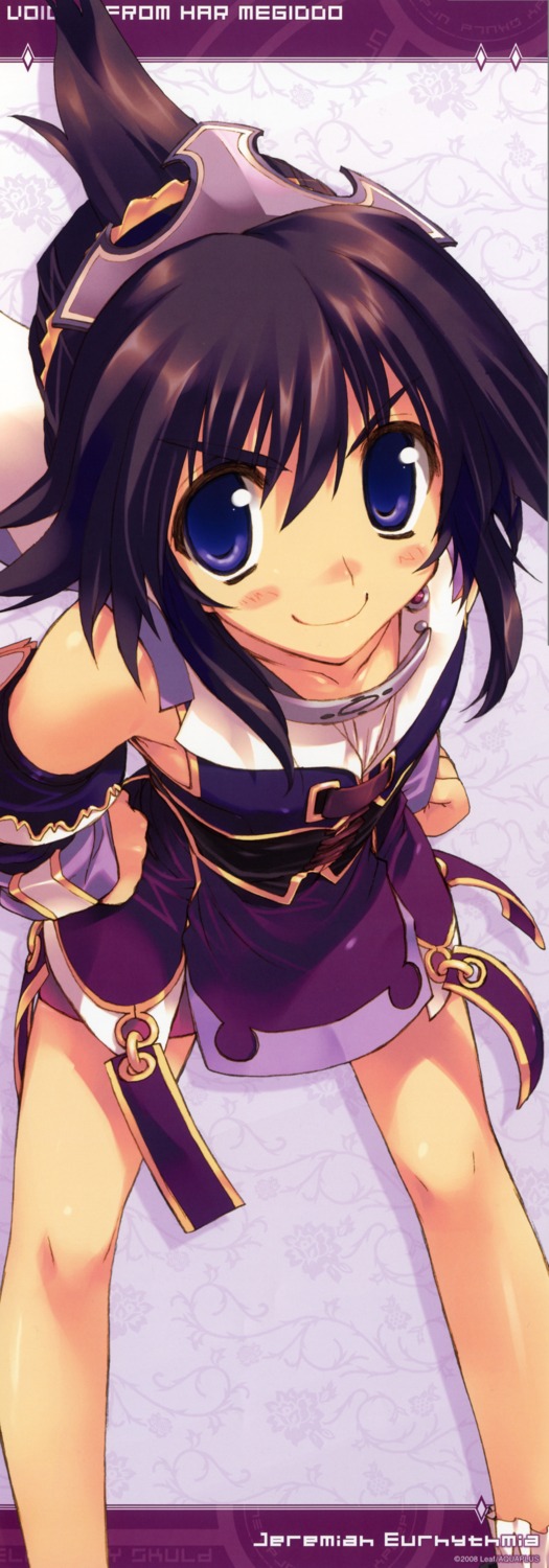 amaduyu_tatsuki, jeremiah_eurhythmia, kimi_ga_yobu_megiddo_no_oka_de, leaf, stick_poster