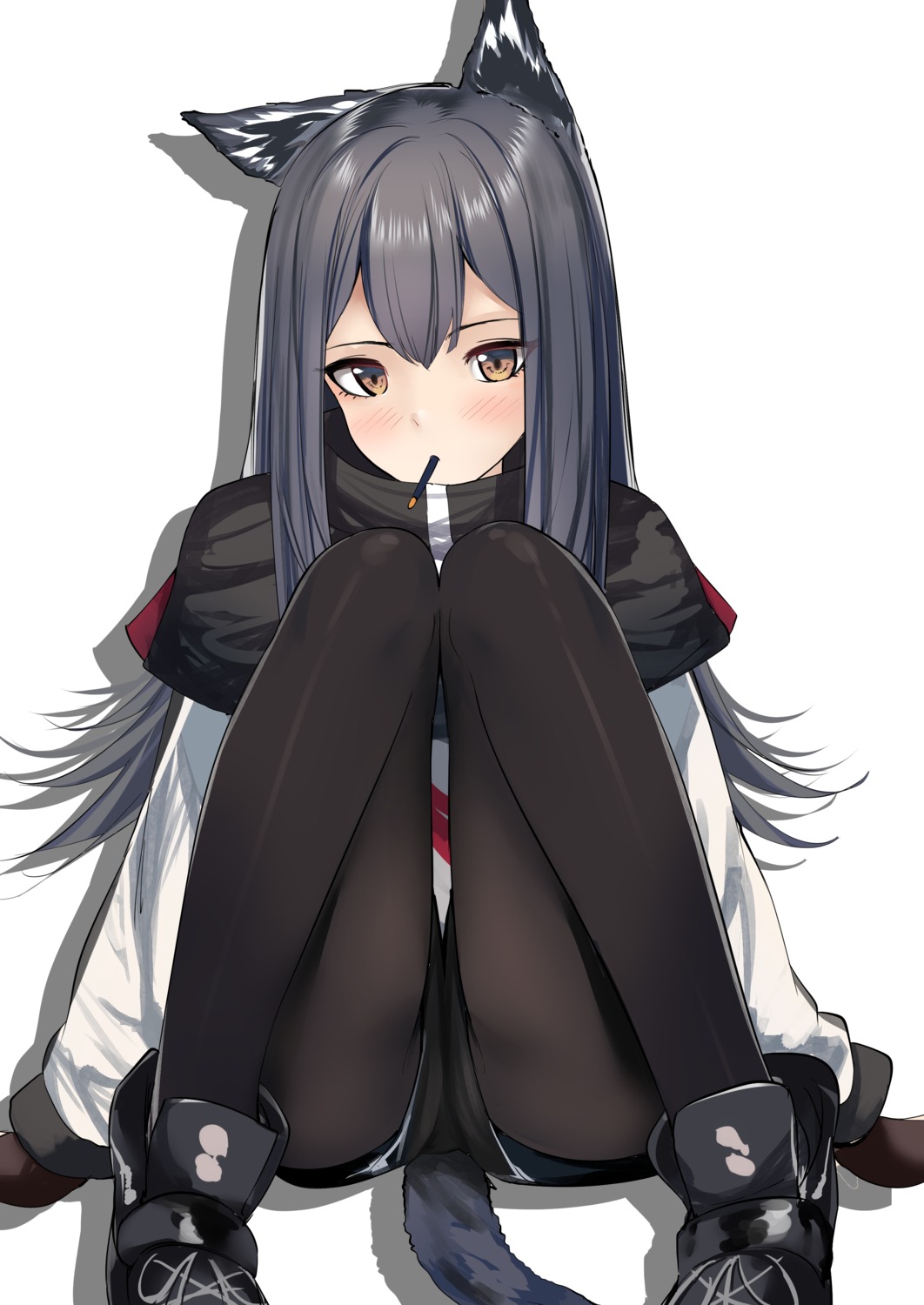 animal_ears, arknights, pantyhose, schreibe_shura, tail, texas_(arknights)