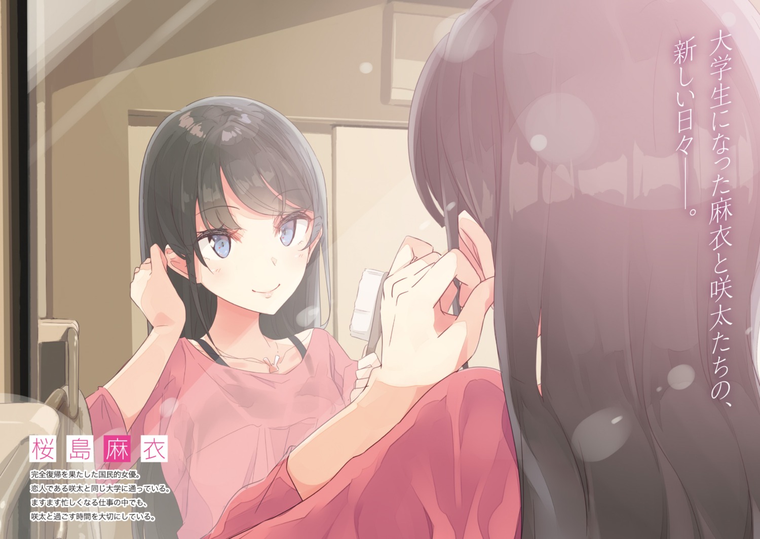 mizoguchi_keiji, sakurajima_mai, see_through, seishun_buta_yarou