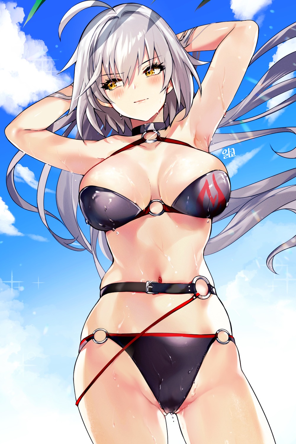 alraco, bikini, fate/grand_order, jeanne_d'arc, jeanne_d'arc_alter_(fate), swimsuits, wet