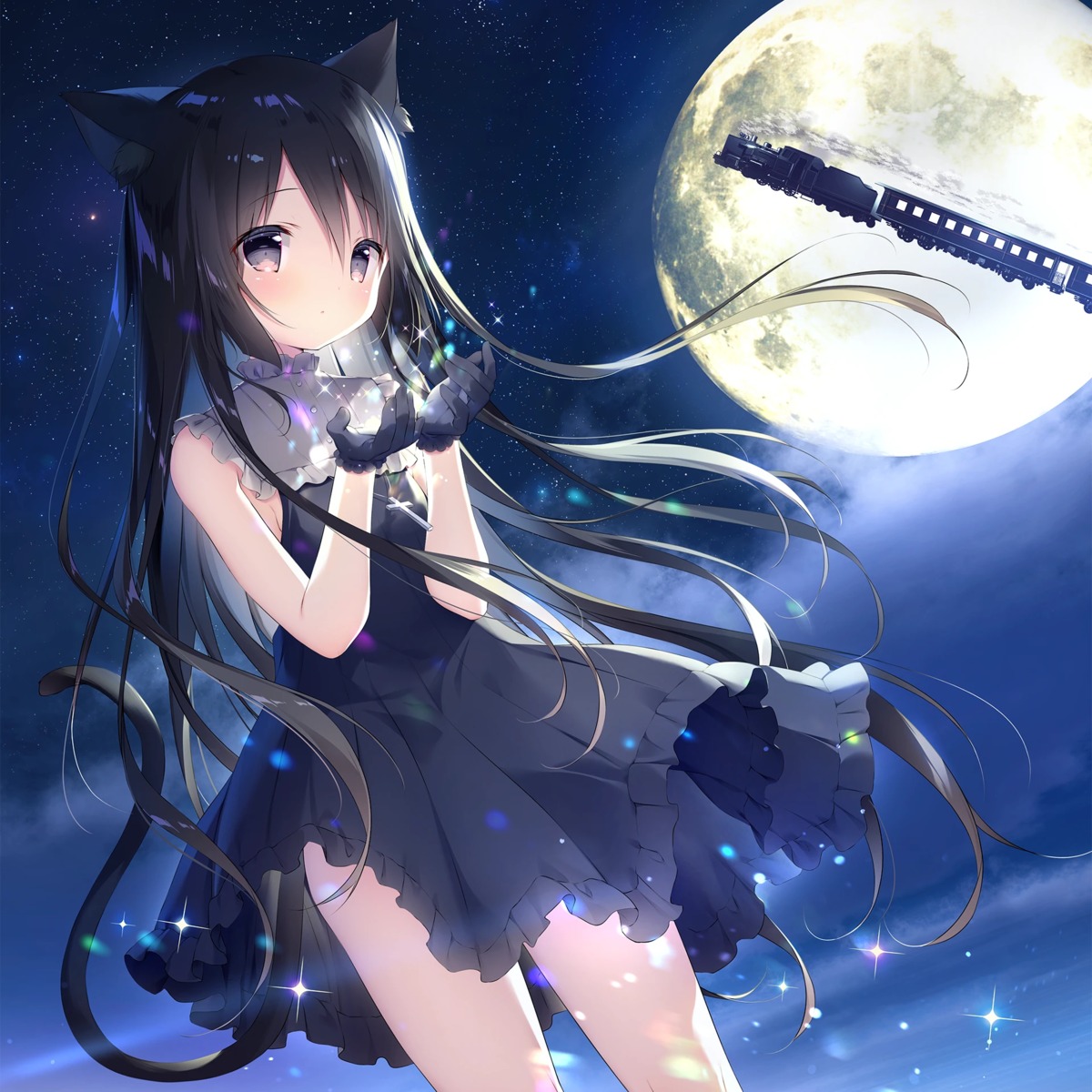 animal_ears, dress, hoshizora_tetsudou_to_shiro_no_tabi, nekomimi, noir_(hoshizora_tetsudou_to_shiro_no_tabi), shiratama, shiratamaco, tail