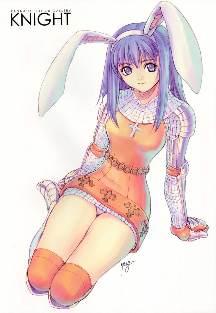 animal_ears, armor, bunny_ears, jpeg_artifacts, pantsu, ragnarok_online, swordman, tony_taka