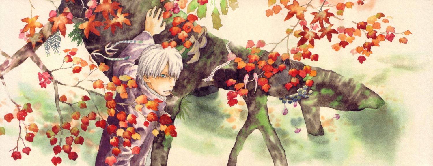 ginko, male, mushishi, urushibara_yuki