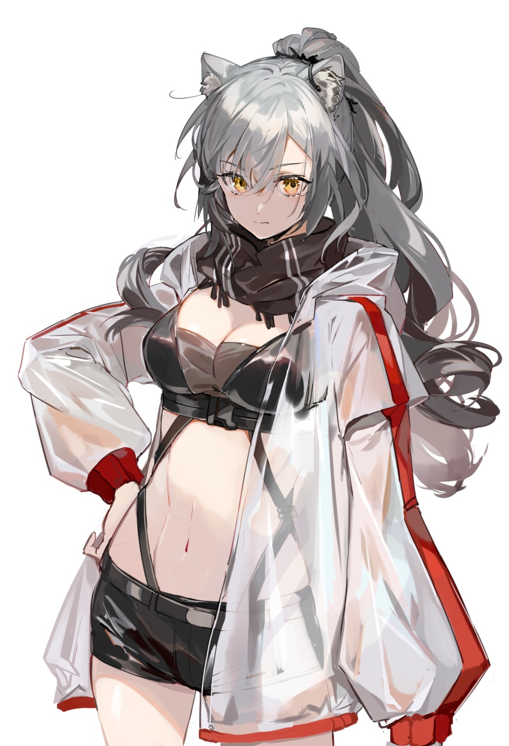 animal_ears, arknights, karasu_btk, schwarz_(arknights), see_through