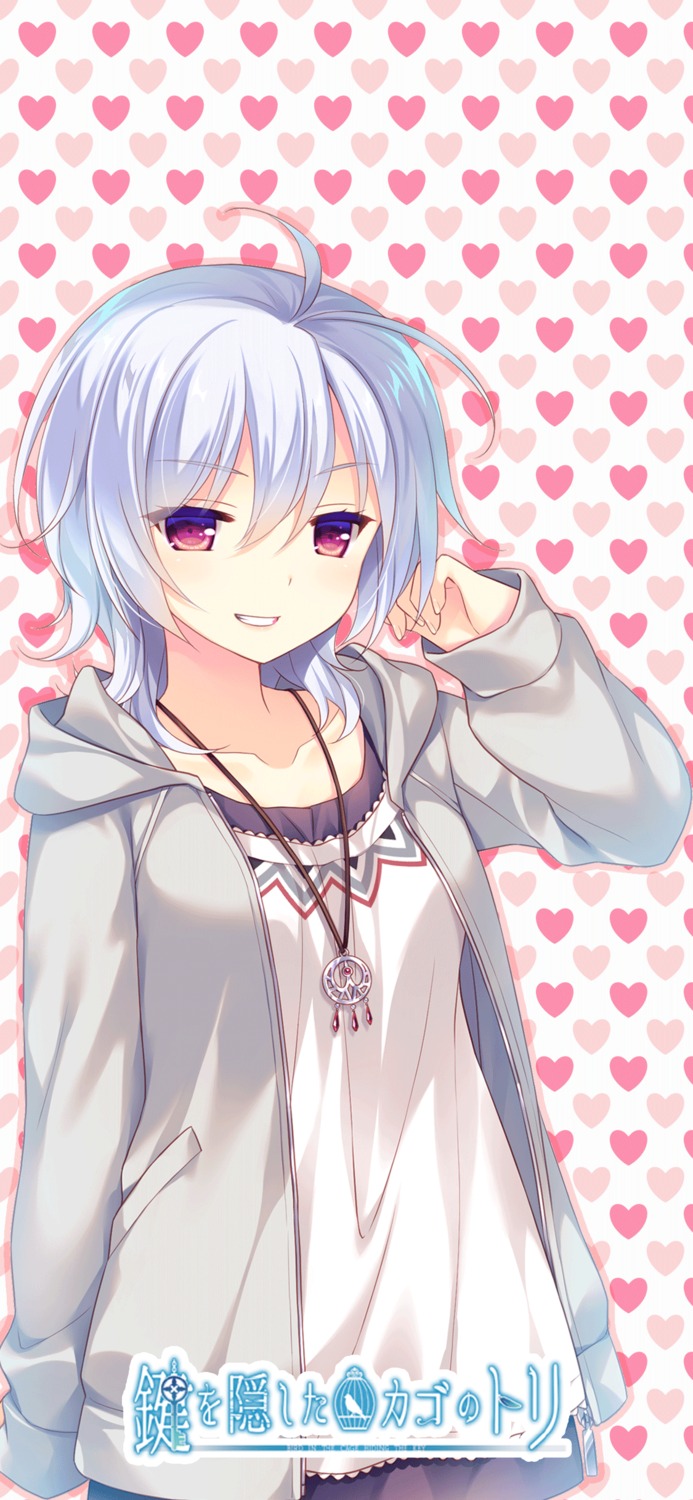 cabbit, kagi_wo_kakushita_kago_no_tori, saeki_hokuto