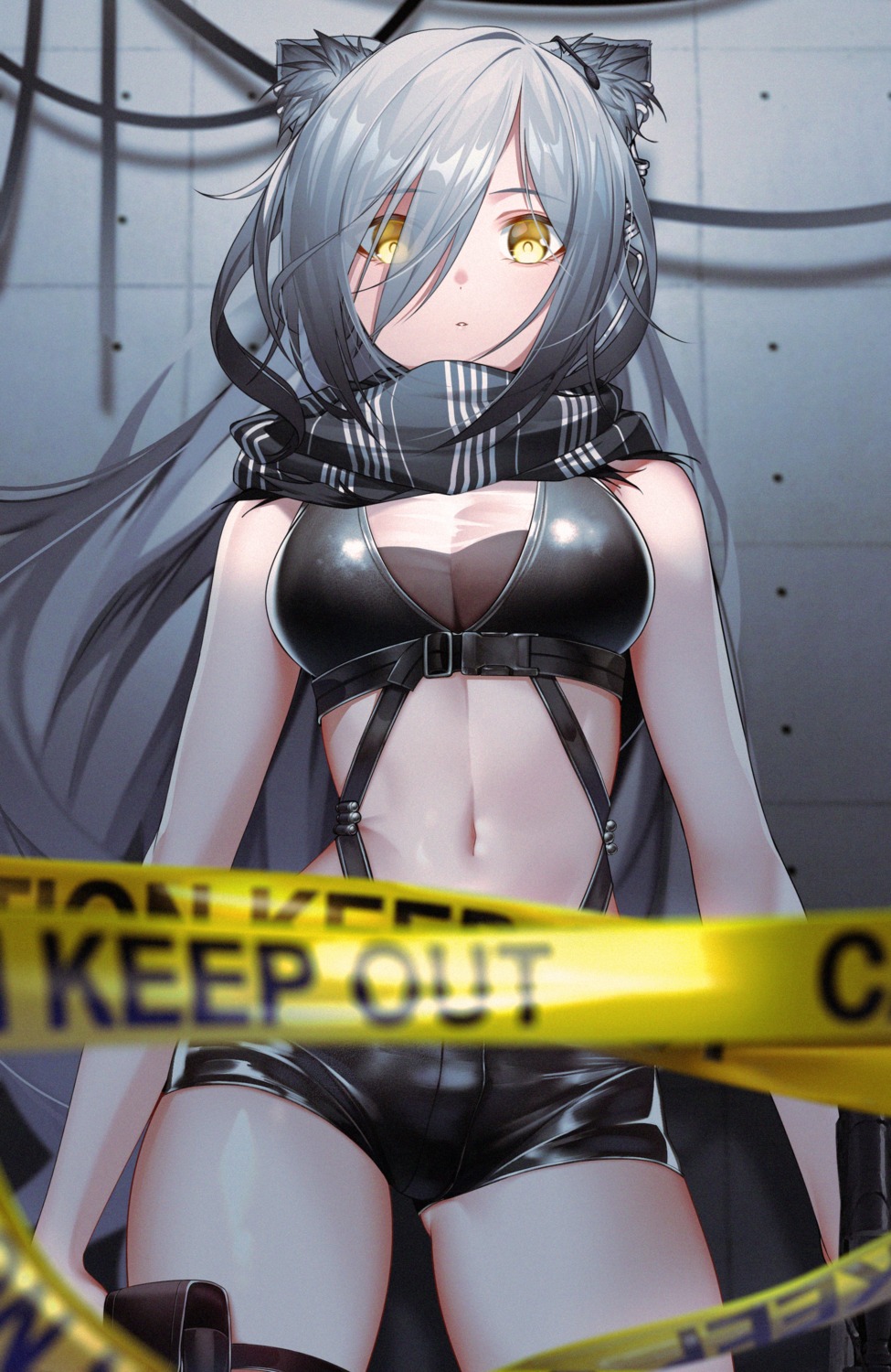 animal_ears, arknights, garter, schwarz_(arknights), see_through, the_cold