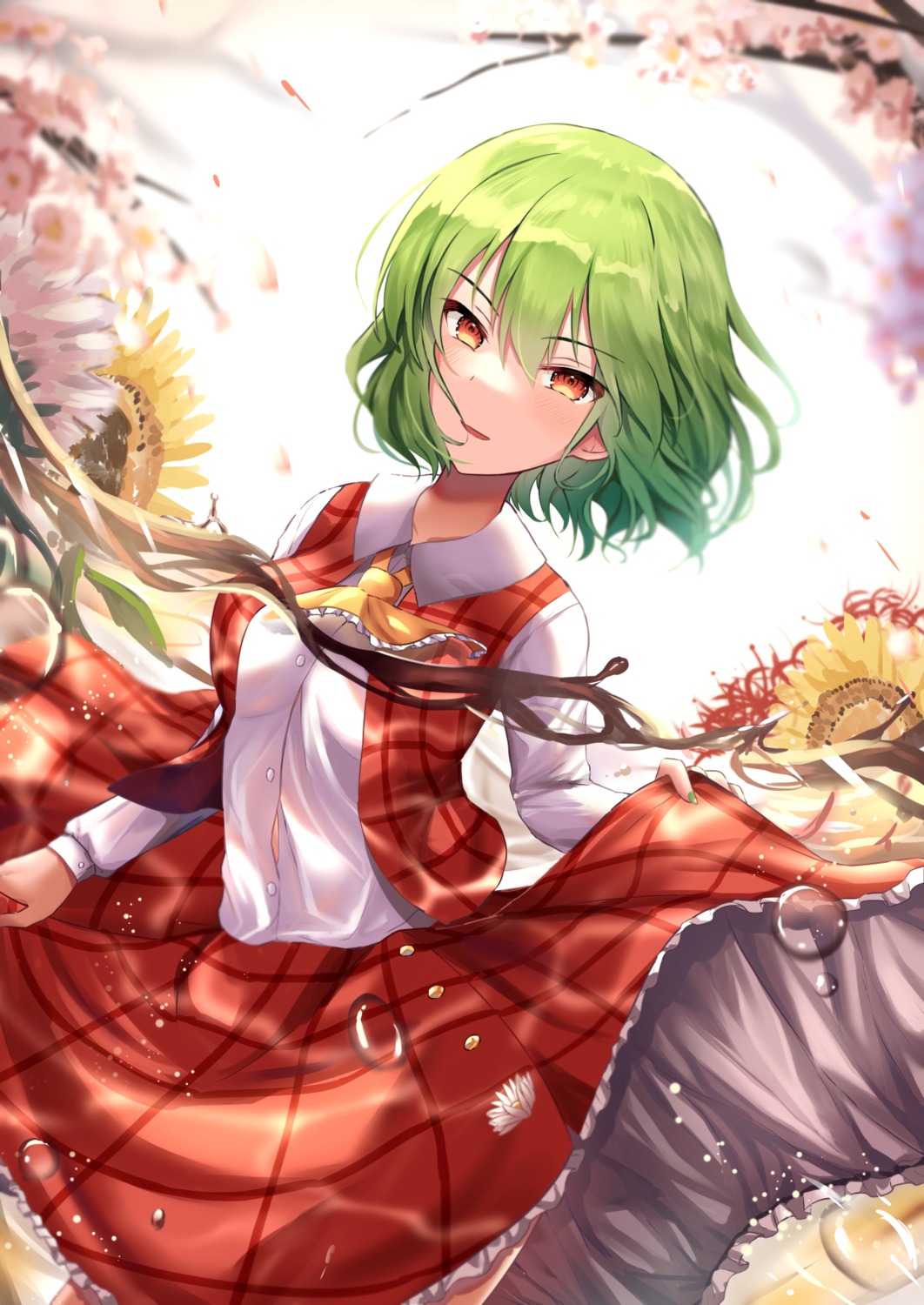 kazami_yuuka, kkkk12103, skirt_lift, touhou