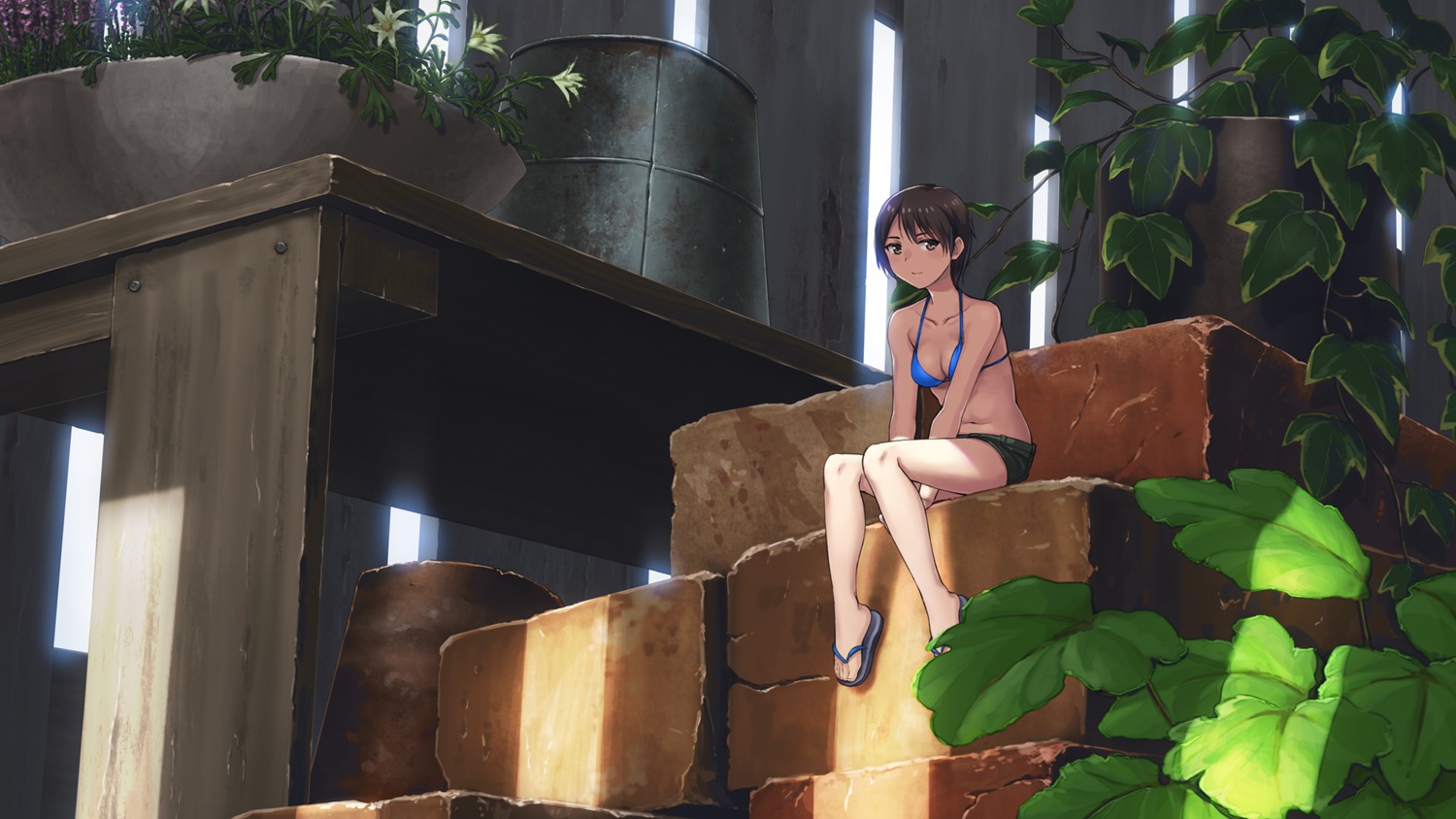 bikini, cleavage, hashi, landscape, swimsuits