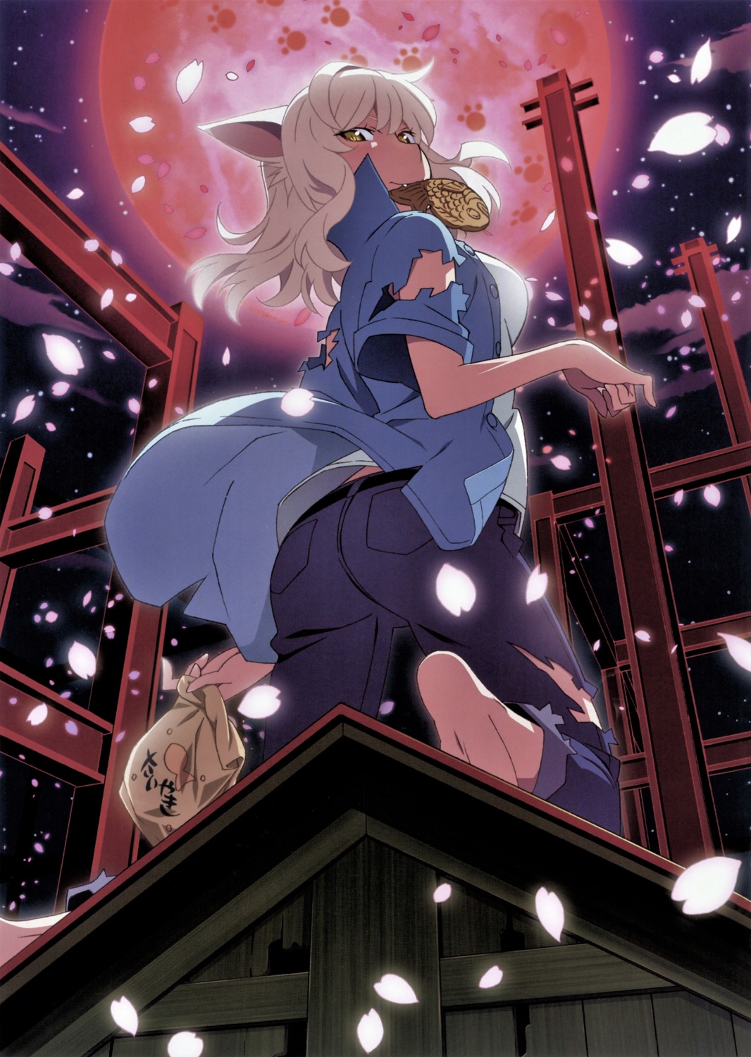 animal_ears, ass, black_hanekawa, feet, hanekawa_tsubasa, monogatari_(series), nekomimi, nekomonogatari