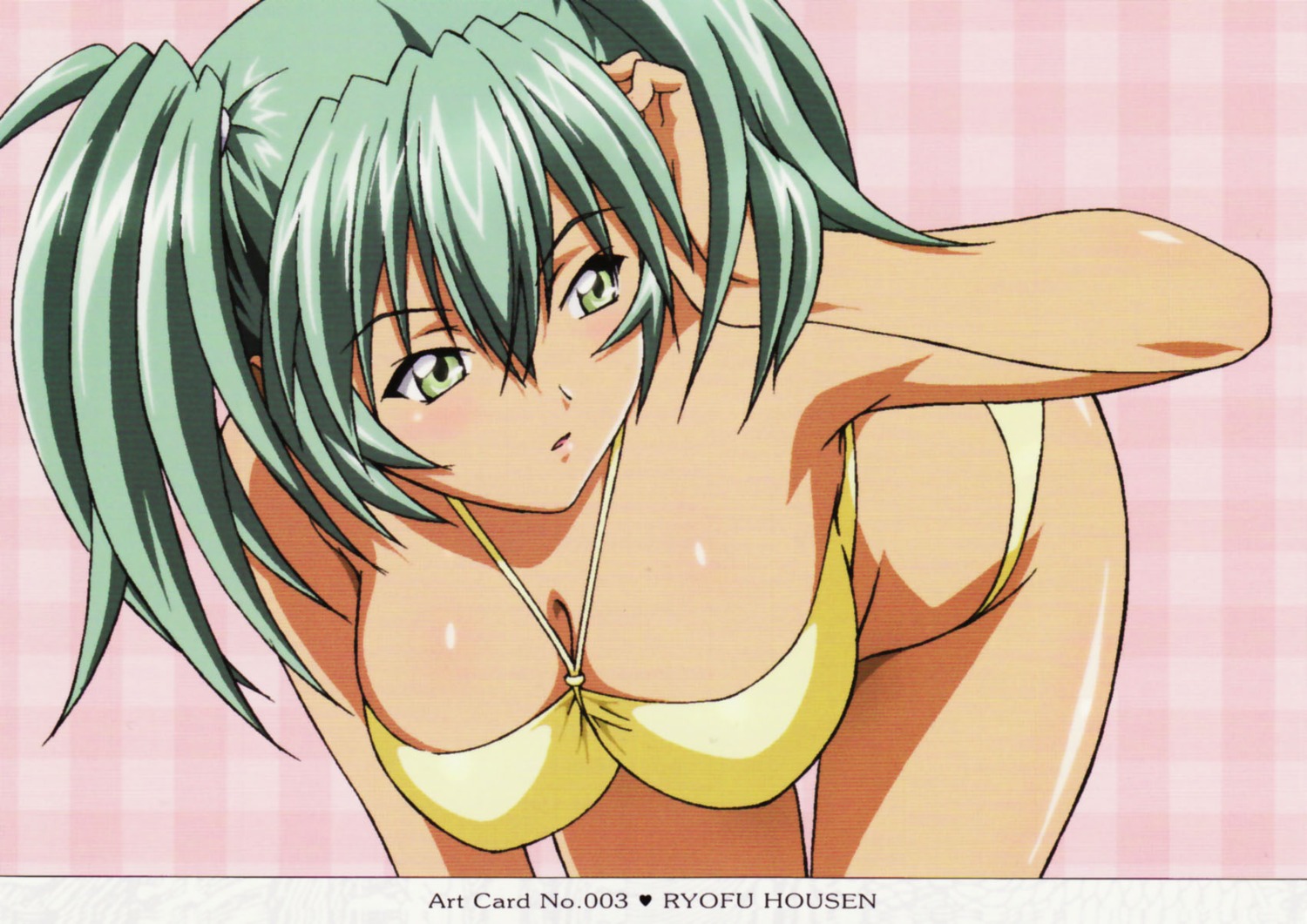 bikini, cleavage, ikkitousen, ryofu_housen, screening, swimsuits
