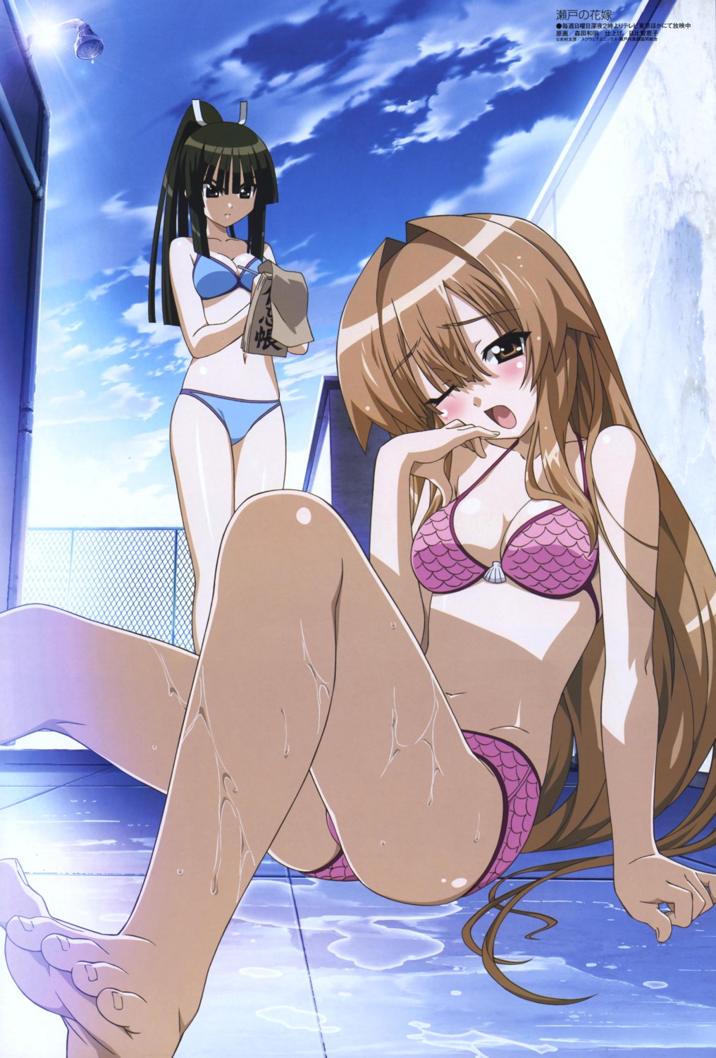 bikini, morita_kazuaki, seto_no_hanayome, seto_san, shiranui_akeno, swimsuits, wet