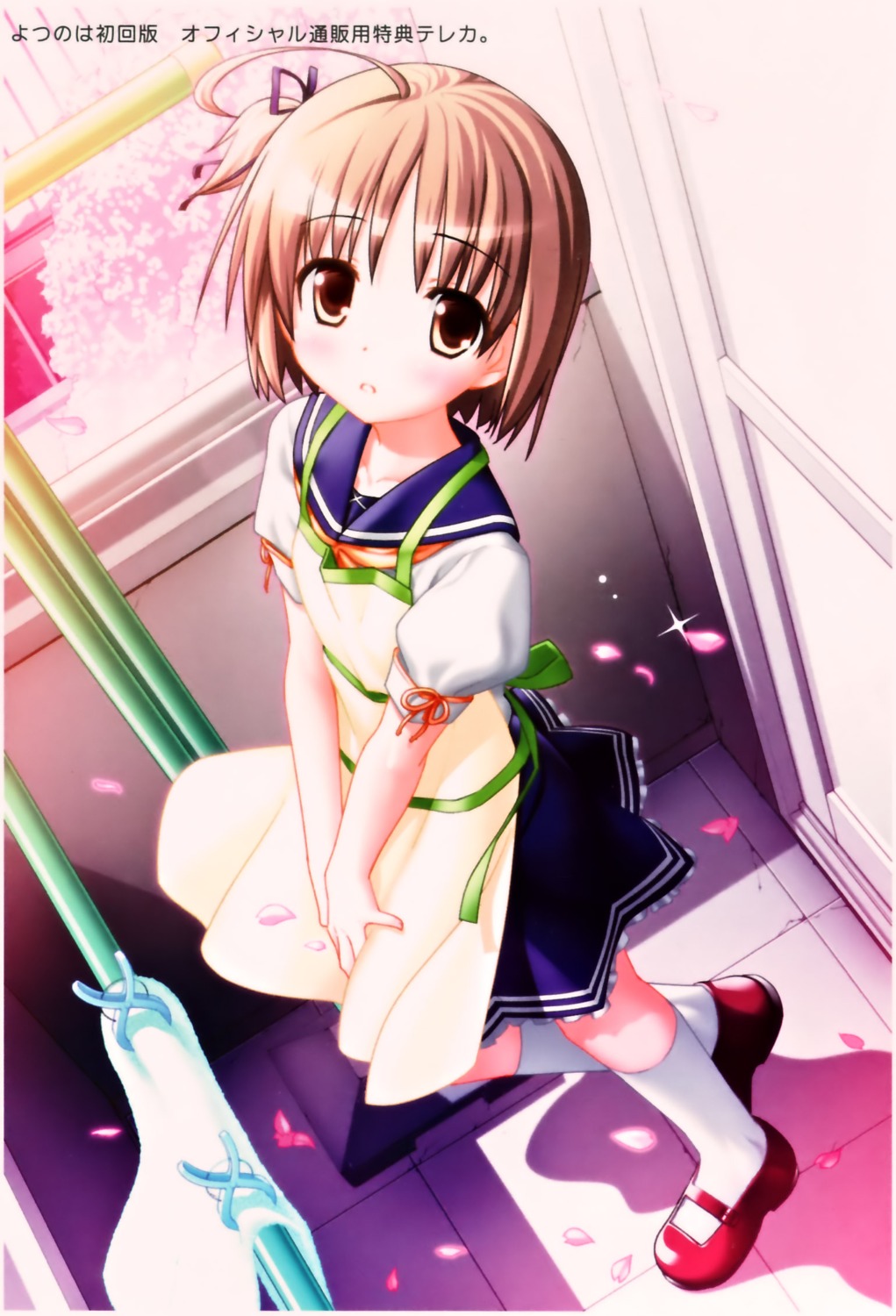 hiide, nekomiya_nono, yotsunoha
