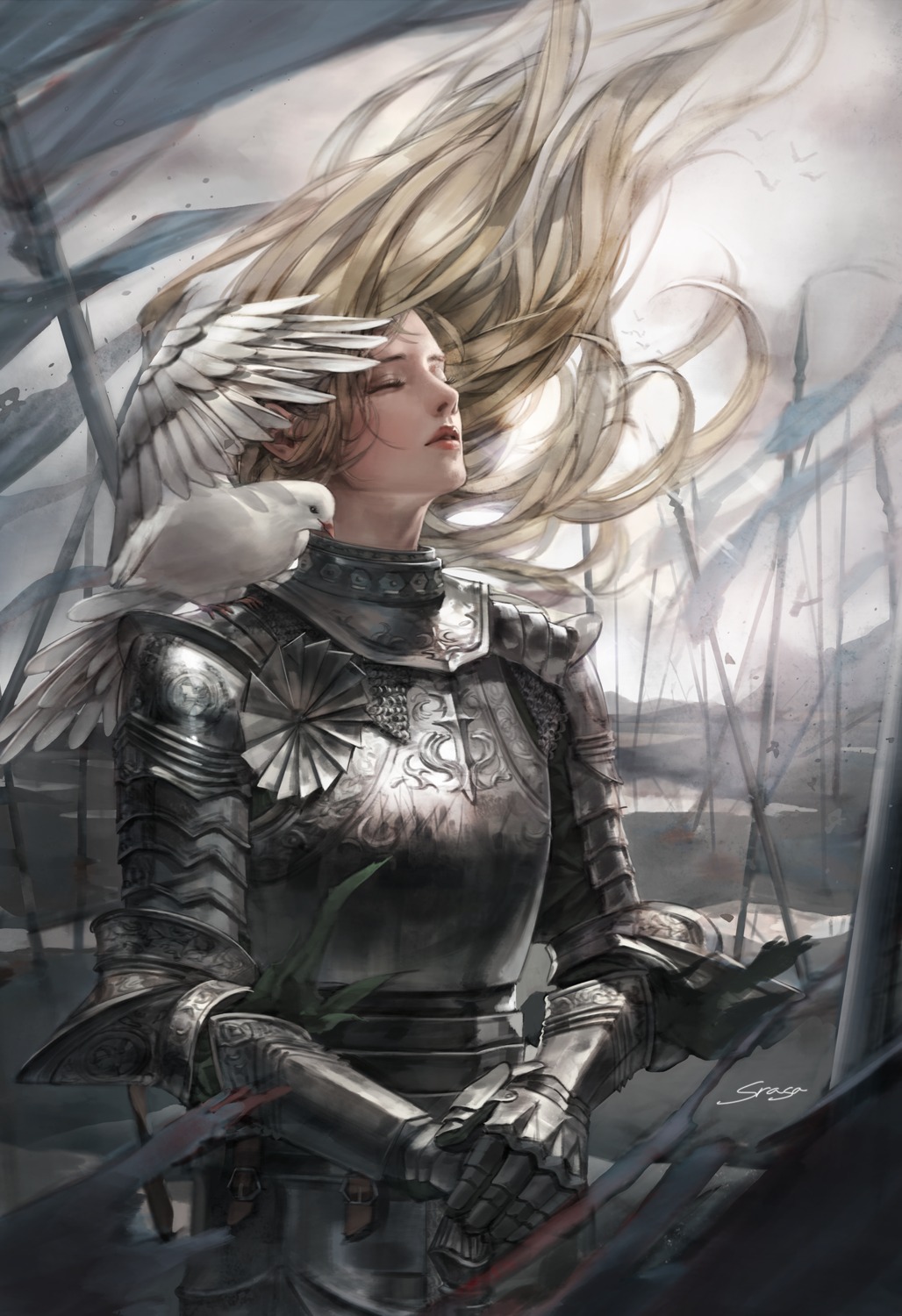 armor, srasa
