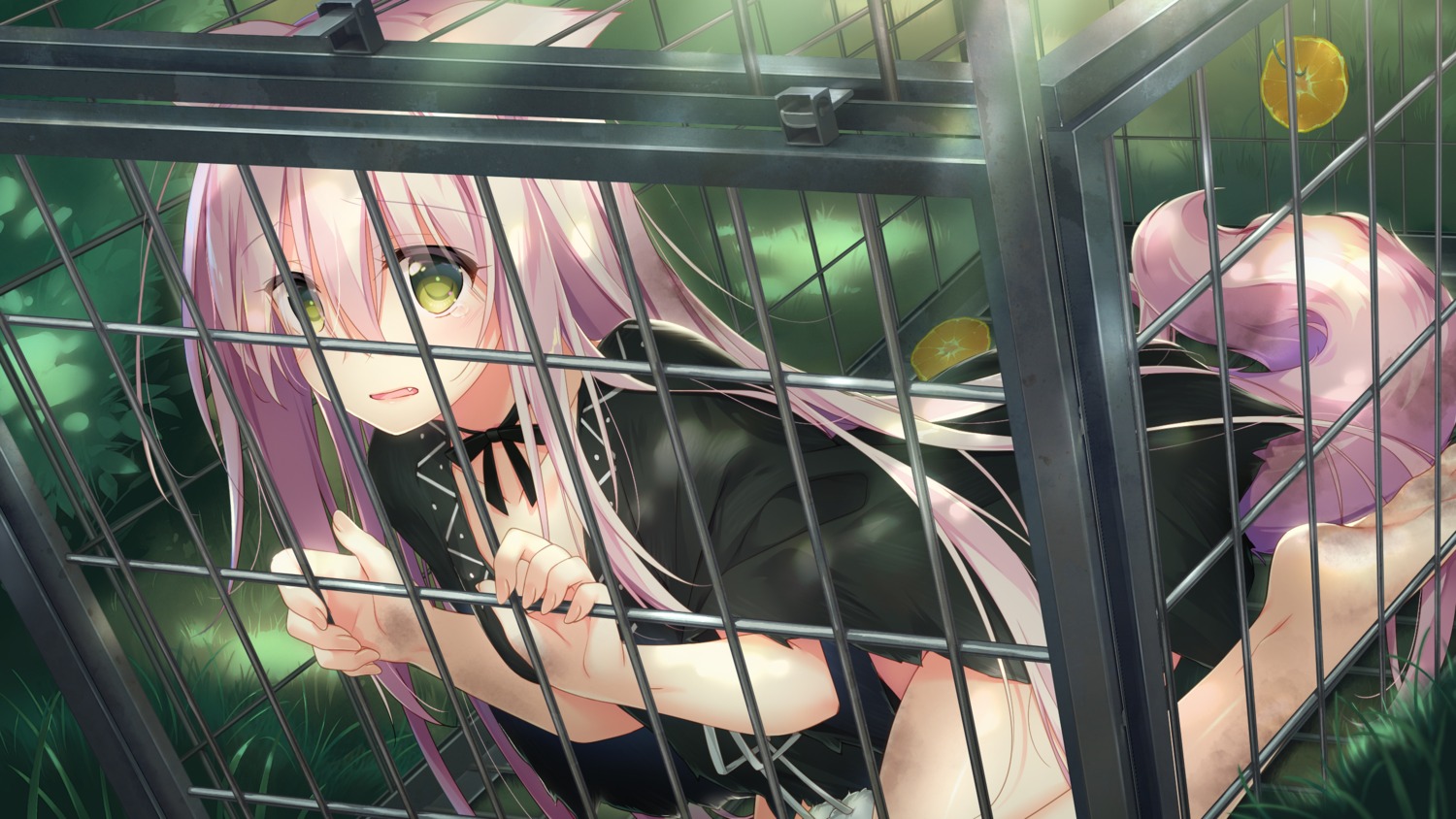 animal_ears, game_cg, kemono_musume_no_sodatekata, motomiya_mitsuki, sakuraba_iroha, sweet&tea, tail