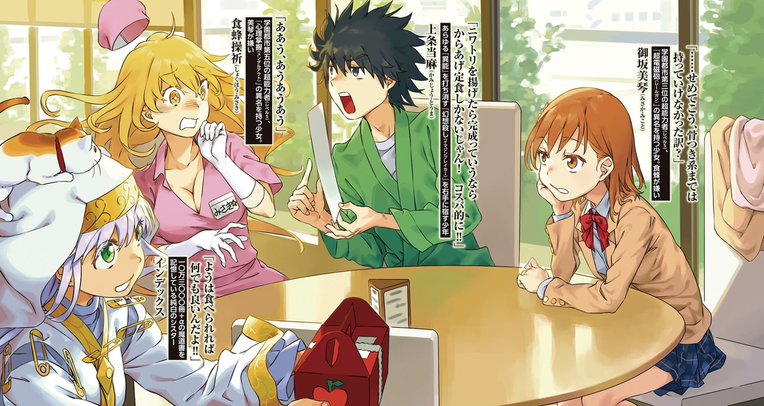 cleavage, fuyukawa_motoi, index, kamijou_touma, misaka_mikoto, neko, nun, nurse