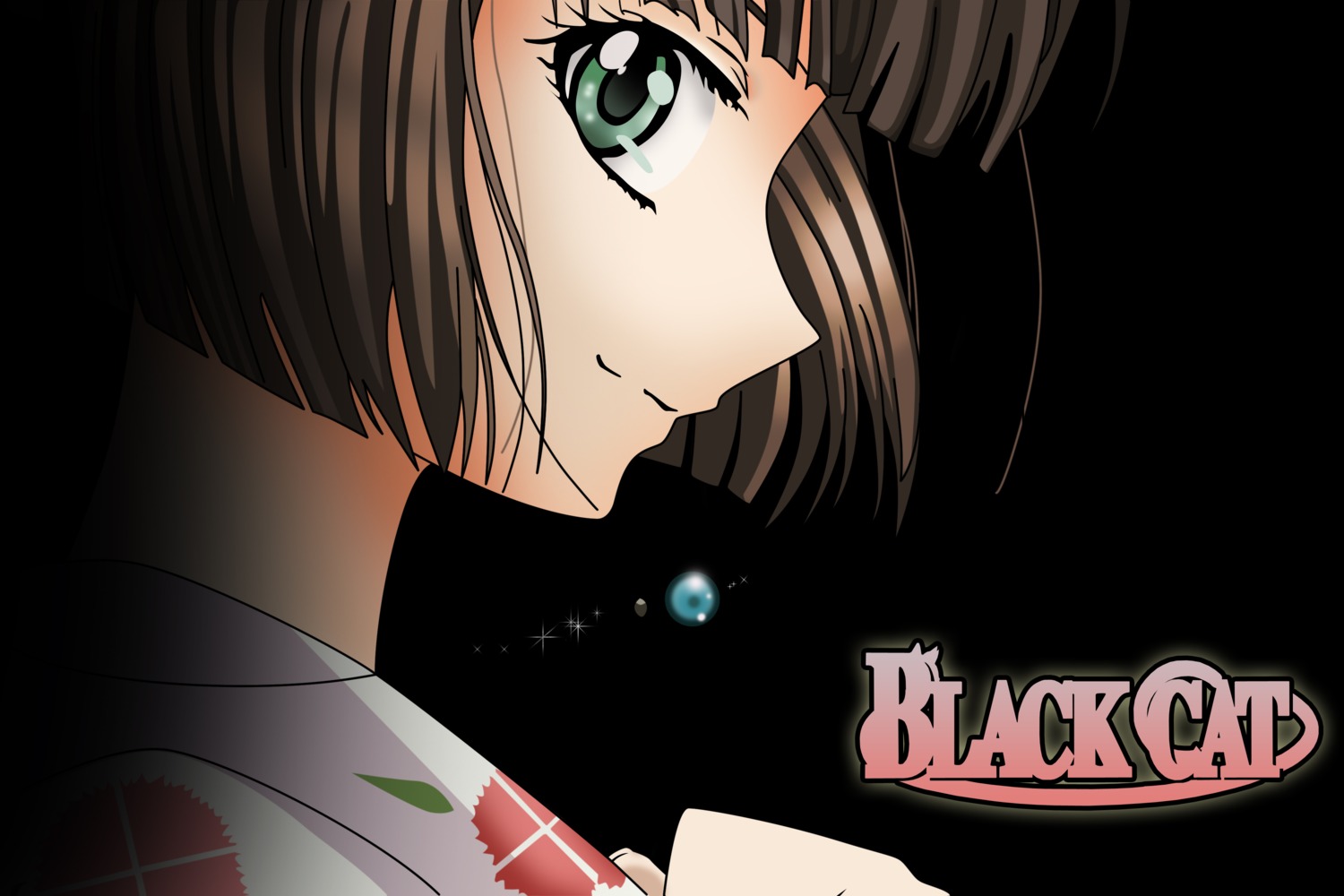 black_cat, minatsuki_saya, vector_trace