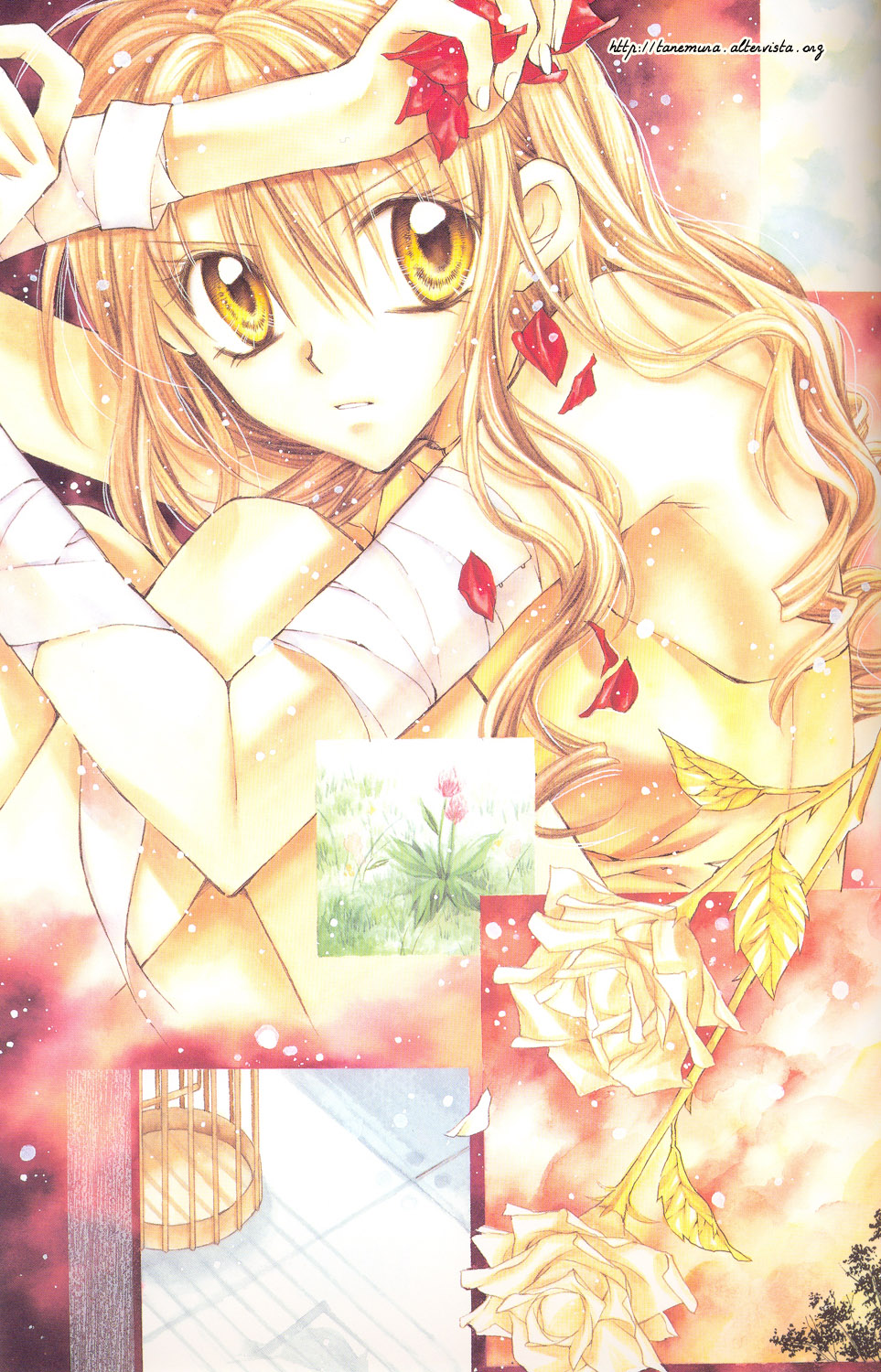 full_moon_wo_sagashite, meroko_yui, tanemura_arina, watermark
