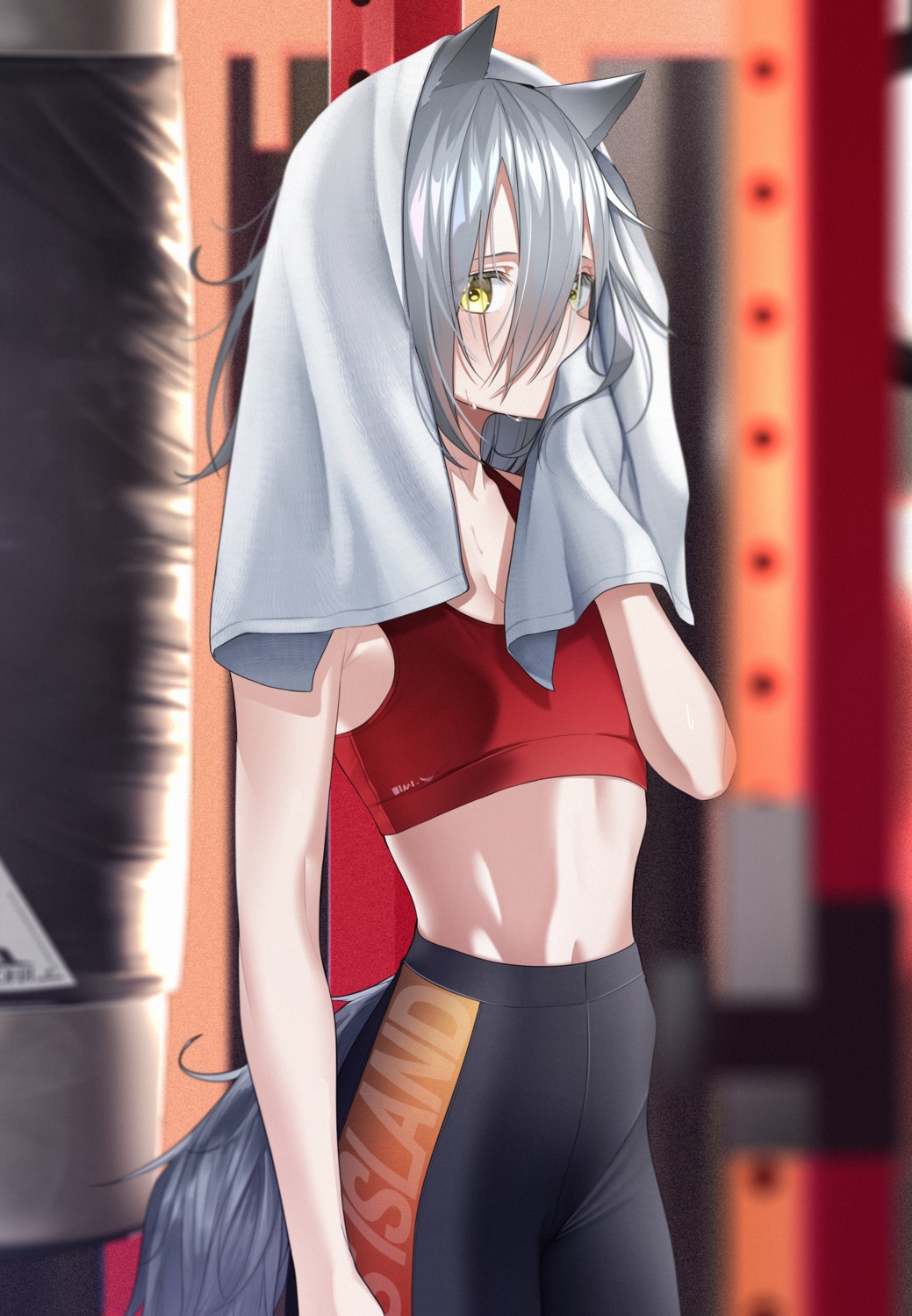 animal_ears, arknights, gym_uniform, projekt_red_(arknights), tail, the_cold