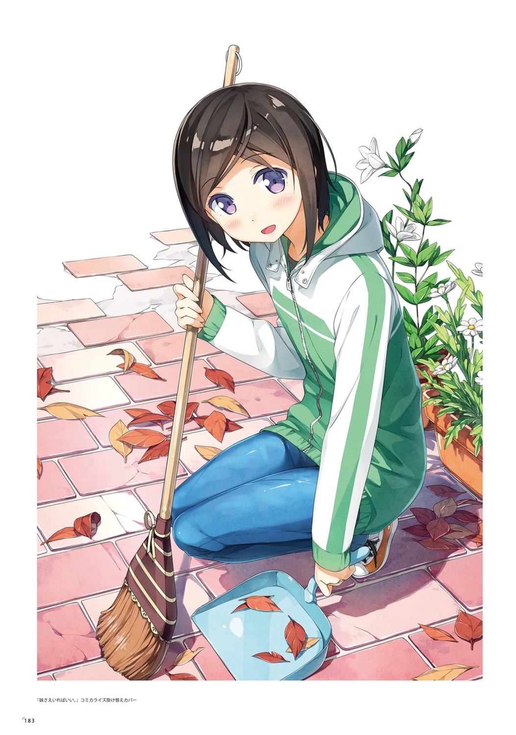 hashima_chihiro, imouto_sae_ireba_ii., kantoku