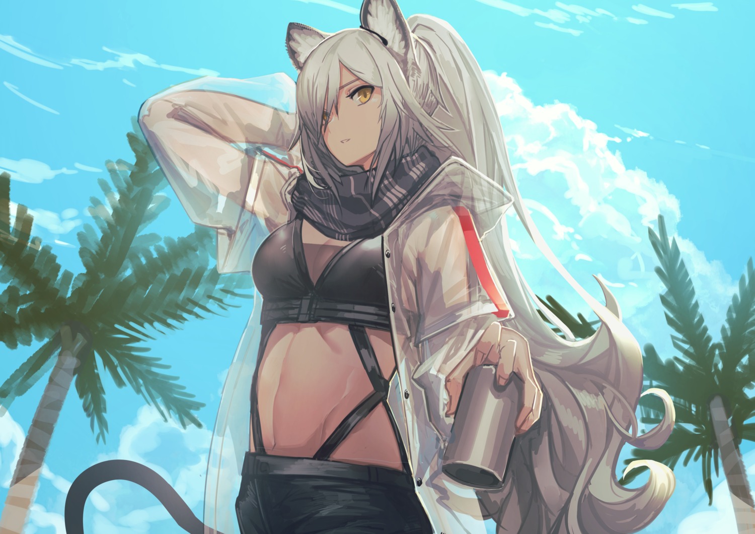 animal_ears, arknights, fixro2n, schwarz_(arknights), tail