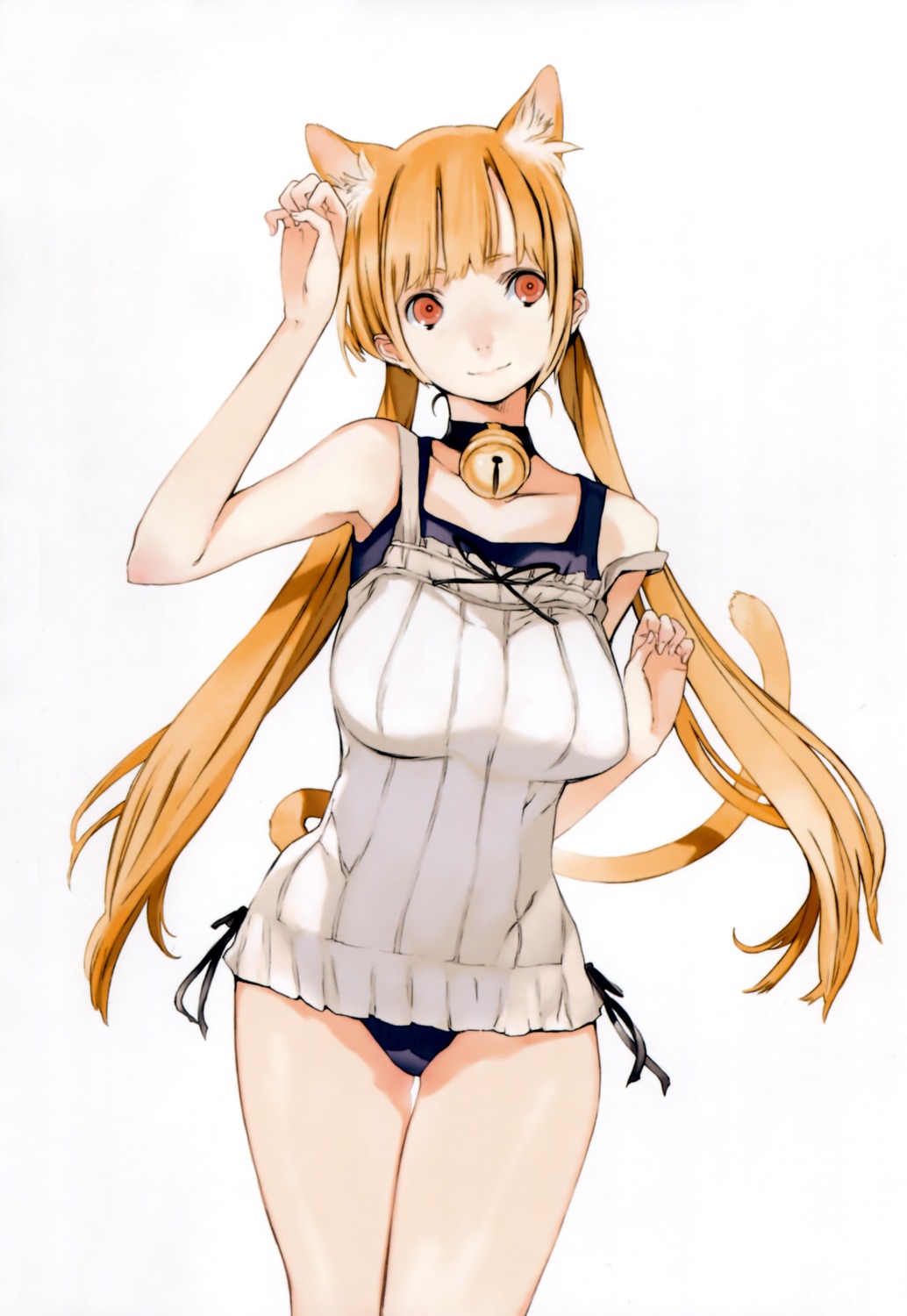 animal_ears, houden_eizou, nekomimi, swimsuits, tail