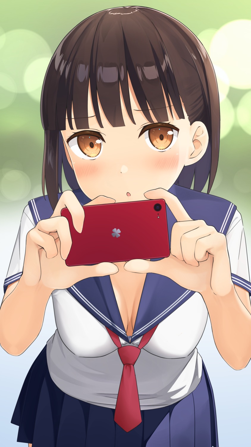 apollo_(hu_maple), bra, cleavage, seifuku