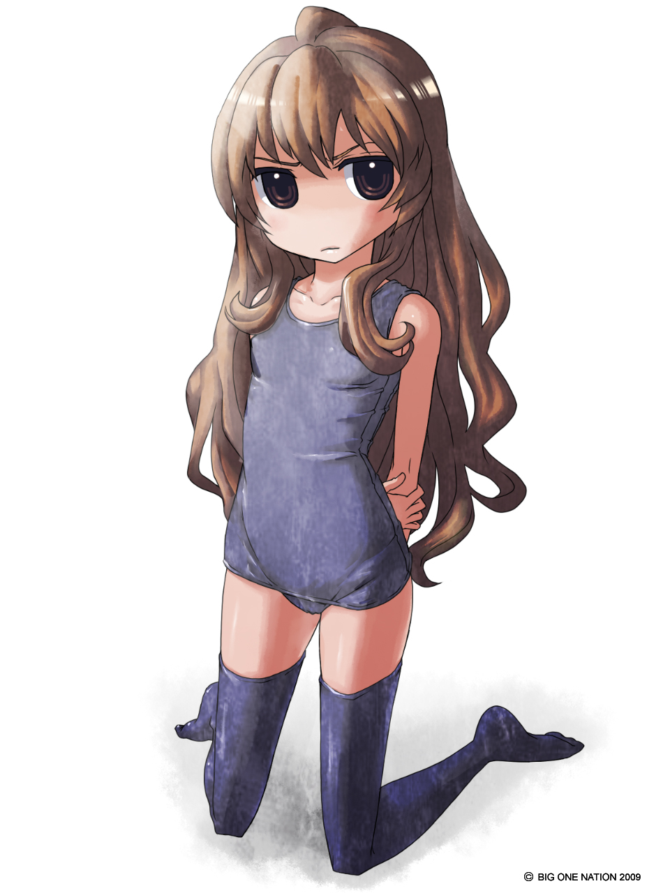 aisaka_taiga, raichi_(litchixlitchi), school_swimsuit, swimsuits, toradora!