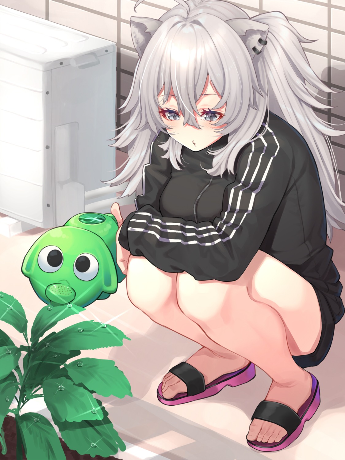 animal_ears, gym_uniform, hololive, nekomanma_(chipstar182), shishiro_botan